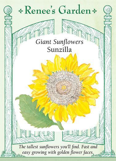 カーナビ sunflower Sunflower Giant – Sunzilla – Renee's Garden | Fiesta Gardens Store